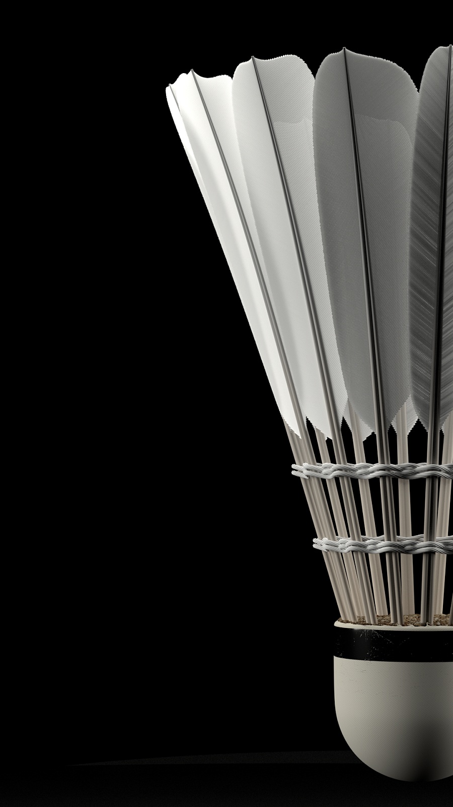 舞了球队士 舞了球队士