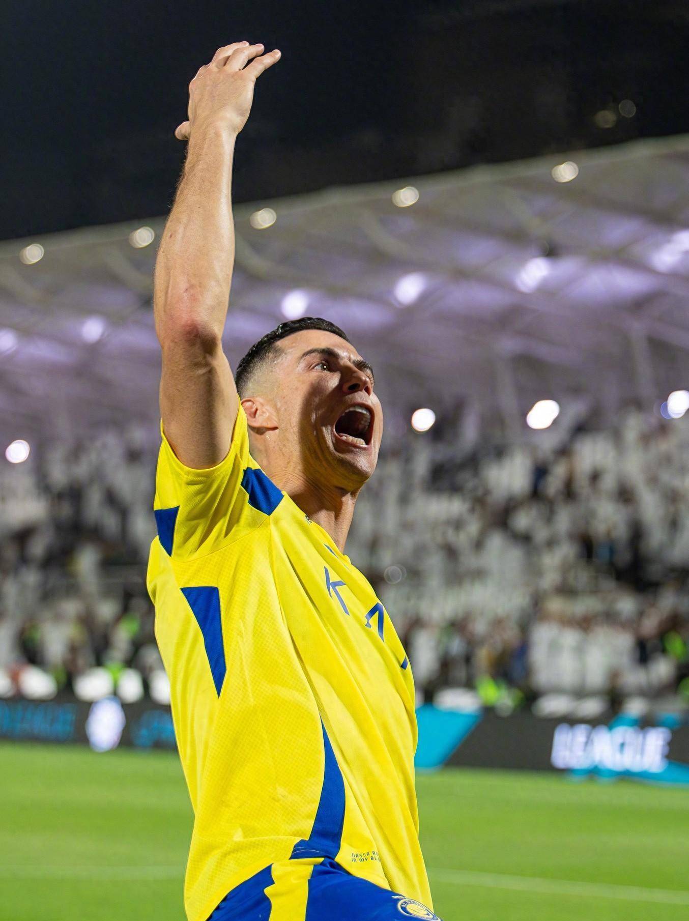 的竞争力 的竞争力